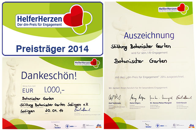 HelferHerzen dm-Preis für Engagement